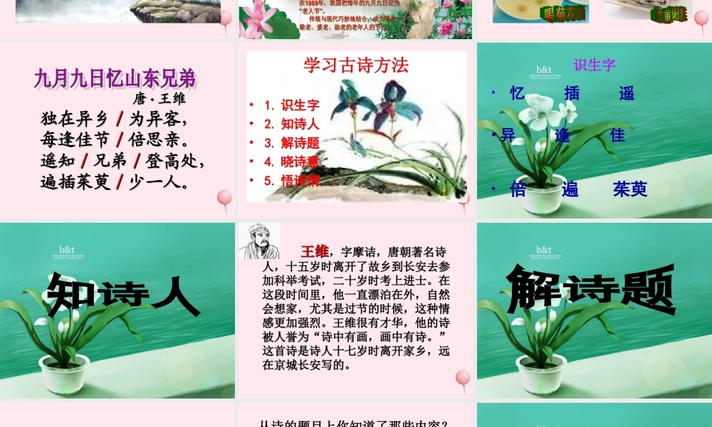 三年级语文上册 第三单元 9《古诗两首》九月九日忆山东兄弟课件2 鲁教版-鲁教版小学三年级上册语文课件