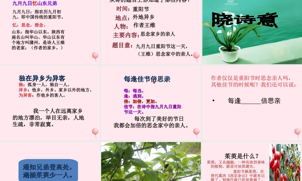 三年级语文上册 第三单元 9《古诗两首》九月九日忆山东兄弟课件2 鲁教版-鲁教版小学三年级上册语文课件