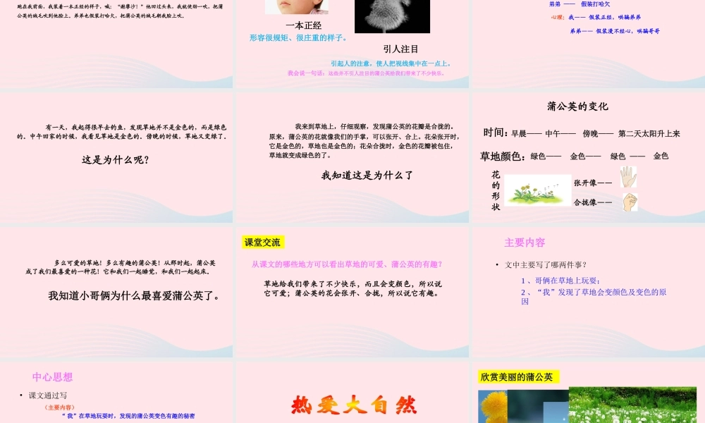 三年级语文上册 第一组 2《金色的草地》课堂教学课件1 新人教版-新人教版小学三年级上册语文课件