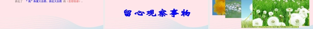 三年级语文上册 第一组 2《金色的草地》课堂教学课件1 新人教版-新人教版小学三年级上册语文课件