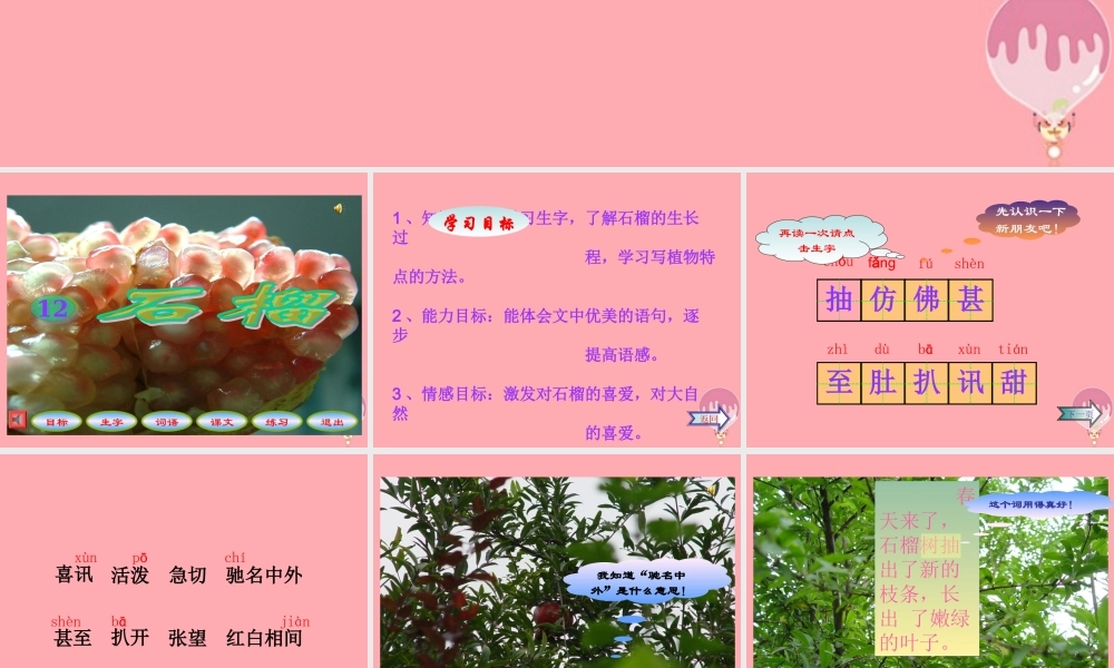 三年级语文上册 第16课 石榴课件 苏教版-苏教版小学三年级上册语文课件