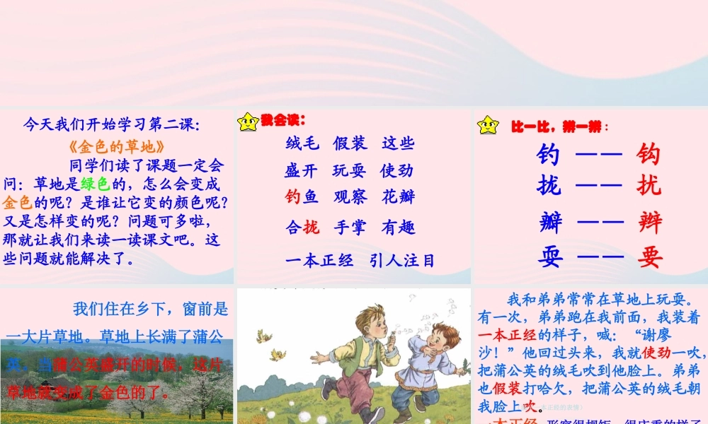 三年级语文上册 第一组 2《金色的草地》课堂教学课件2 新人教版-新人教版小学三年级上册语文课件