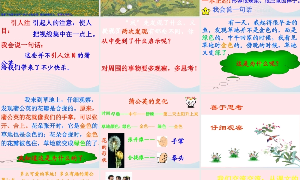 三年级语文上册 第一组 2《金色的草地》课堂教学课件2 新人教版-新人教版小学三年级上册语文课件