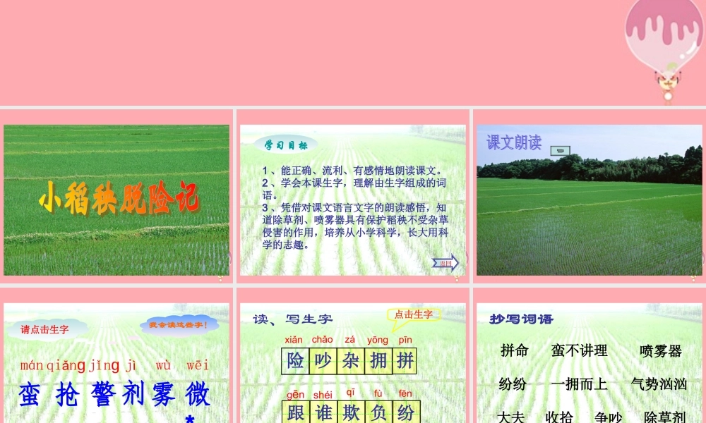 三年级语文上册 第18课 小稻秧脱险记课件 苏教版-苏教版小学三年级上册语文课件