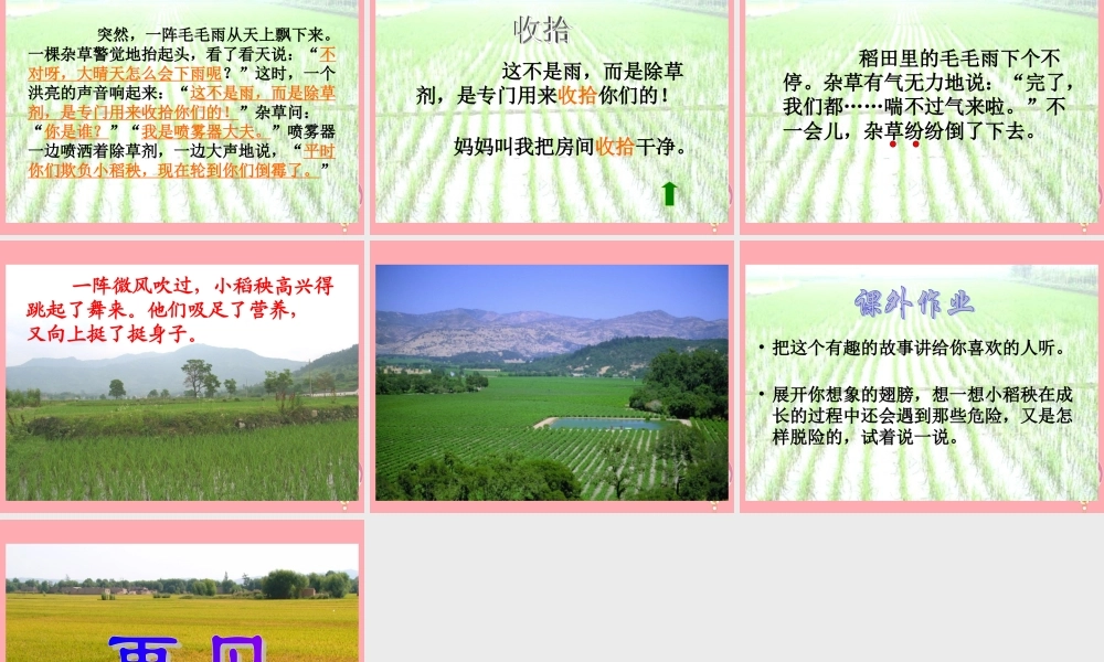 三年级语文上册 第18课 小稻秧脱险记课件 苏教版-苏教版小学三年级上册语文课件