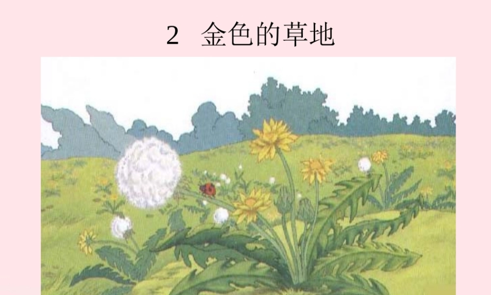 三年级语文上册 第一组 2《金色的草地》课堂教学课件3 新人教版-新人教版小学三年级上册语文课件