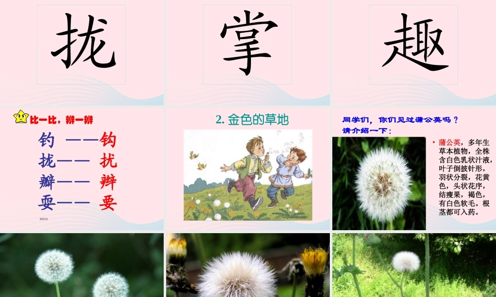 三年级语文上册 第一组 2《金色的草地》课堂教学课件3 新人教版-新人教版小学三年级上册语文课件