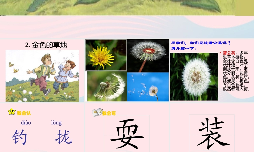 三年级语文上册 第一组 2《金色的草地》课堂教学课件4 新人教版-新人教版小学三年级上册语文课件