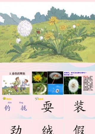 三年级语文上册 第一组 2《金色的草地》课堂教学课件4 新人教版-新人教版小学三年级上册语文课件