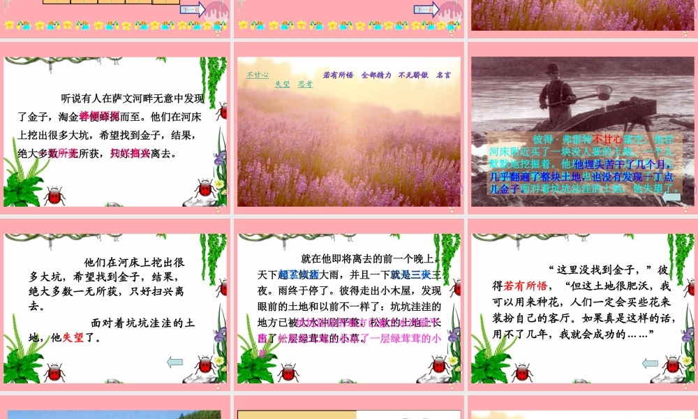 三年级语文上册 第23课 金子课件 苏教版-苏教版小学三年级上册语文课件