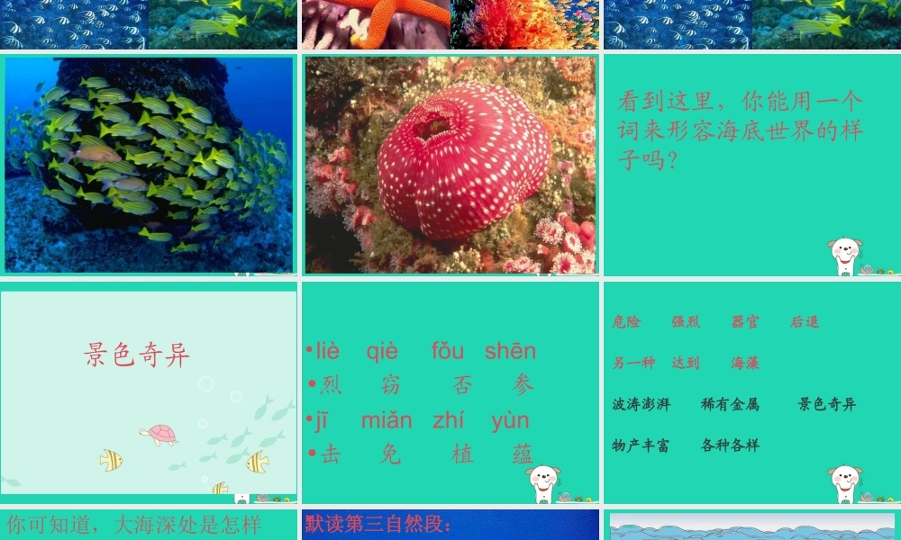 三年级语文上册 8《海底世界》课件 北师大版