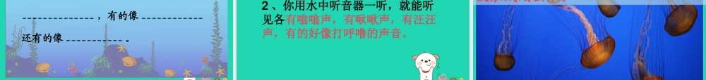三年级语文上册 8《海底世界》课件 北师大版