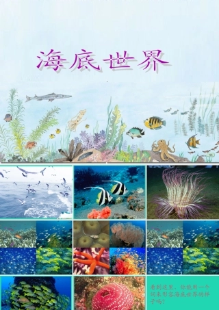 三年级语文上册 8《海底世界》课件 北师大版