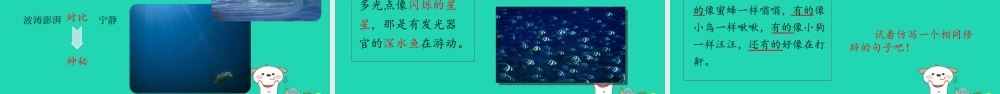 三年级语文上册 8《海底世界》课件 北师大版-北师大版小学三年级上册语文课件