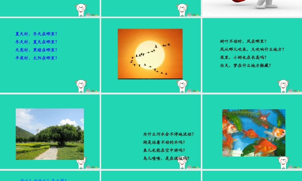三年级语文上册 第三单元 10 为什么课件 湘教版