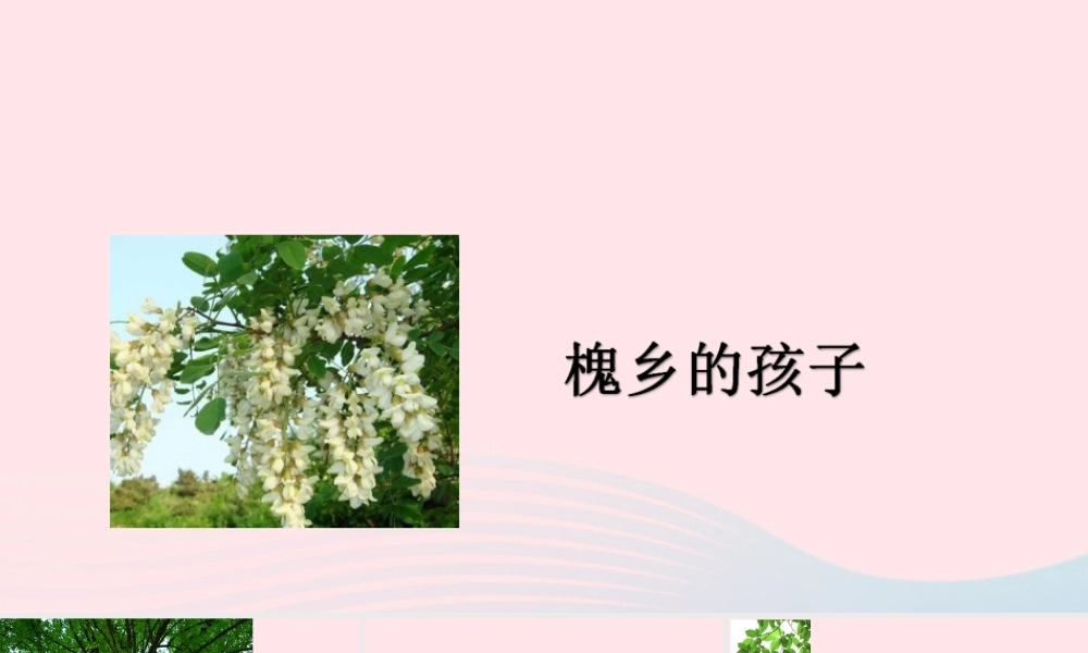 三年级语文上册 第一组 4《槐乡的孩子》课堂教学课件1 新人教版-新人教版小学三年级上册语文课件