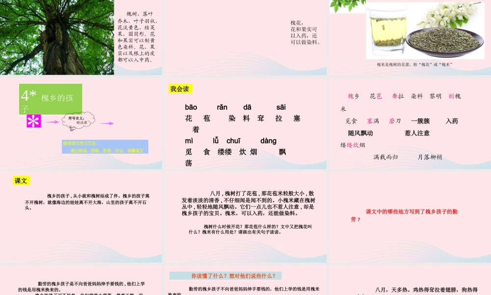 三年级语文上册 第一组 4《槐乡的孩子》课堂教学课件1 新人教版-新人教版小学三年级上册语文课件