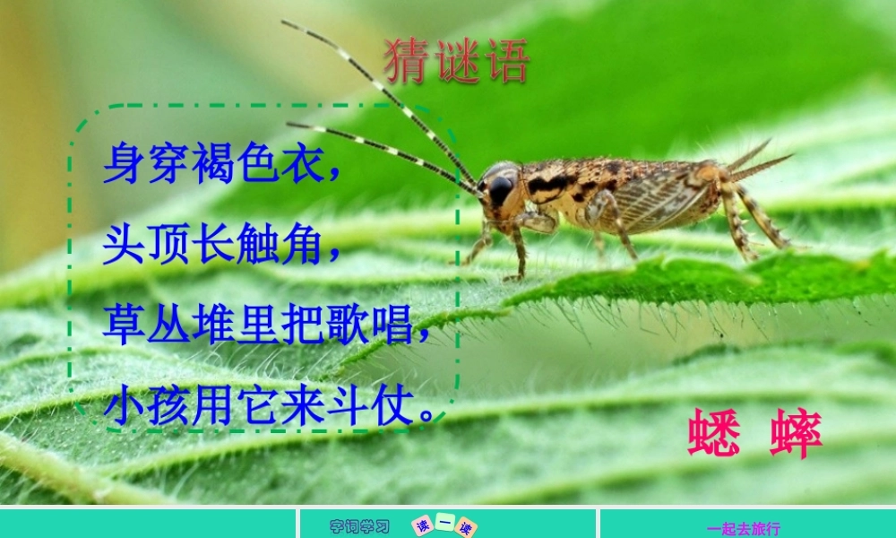 三年级语文上册 第三单元 10 在牛肚子里旅行课件 新人教版-新人教版小学三年级上册语文课件