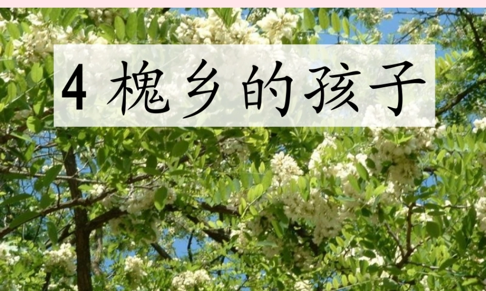 三年级语文上册 第一组 4《槐乡的孩子》课堂教学课件2 新人教版-新人教版小学三年级上册语文课件