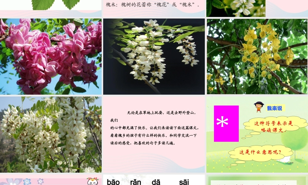 三年级语文上册 第一组 4《槐乡的孩子》课堂教学课件2 新人教版-新人教版小学三年级上册语文课件