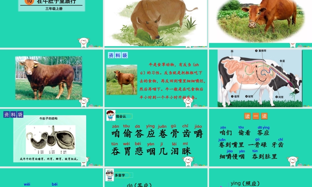 三年级语文上册 第三单元 10 在牛肚子里旅行课件1 新人教版-新人教版小学三年级上册语文课件