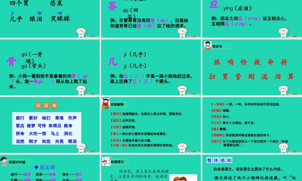 三年级语文上册 第三单元 10 在牛肚子里旅行课件1 新人教版-新人教版小学三年级上册语文课件
