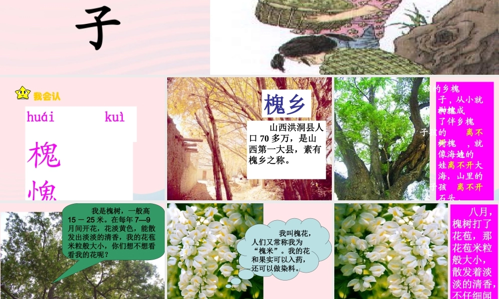 三年级语文上册 第一组 4《槐乡的孩子》课堂教学课件3 新人教版-新人教版小学三年级上册语文课件