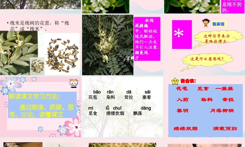 三年级语文上册 第一组 4《槐乡的孩子》课堂教学课件3 新人教版-新人教版小学三年级上册语文课件