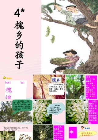 三年级语文上册 第一组 4《槐乡的孩子》课堂教学课件3 新人教版-新人教版小学三年级上册语文课件