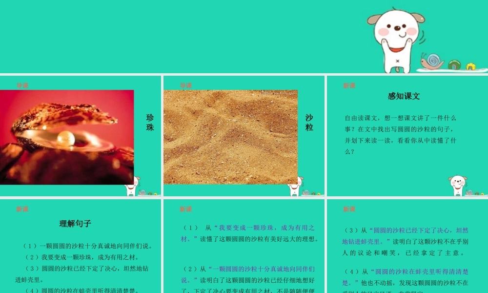 三年级语文上册 8《海底世界》圆圆的沙粒（第2课时）课件 北师大版