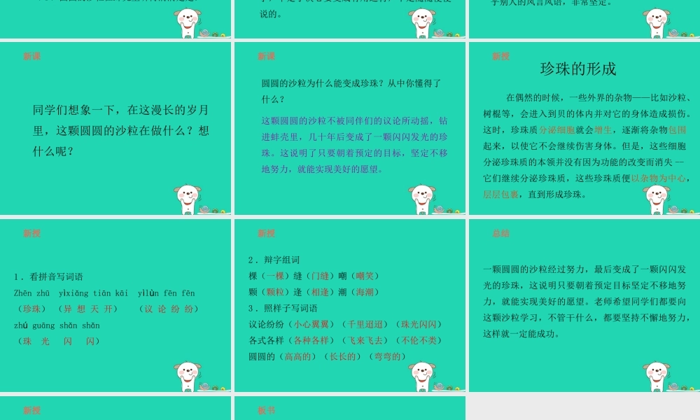 三年级语文上册 8《海底世界》圆圆的沙粒（第2课时）课件 北师大版