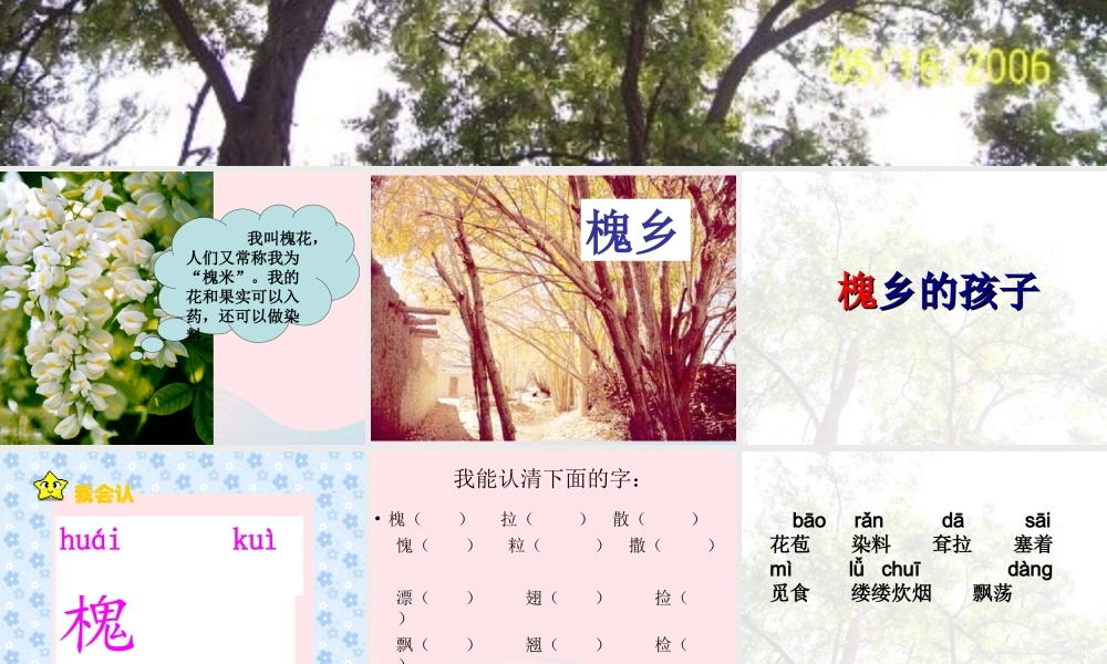 三年级语文上册 第一组 4《槐乡的孩子》课堂教学课件4 新人教版-新人教版小学三年级上册语文课件