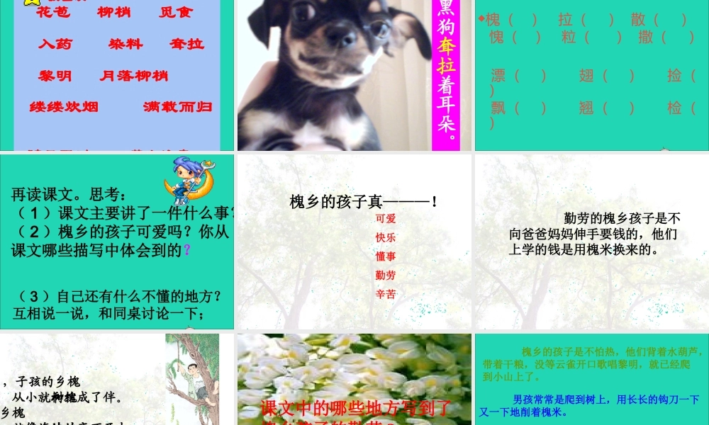 三年级语文上册 第一组 4槐乡的孩子课件 新人教版-新人教版小学三年级上册语文课件