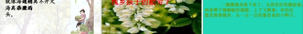 三年级语文上册 第一组 4槐乡的孩子课件 新人教版-新人教版小学三年级上册语文课件