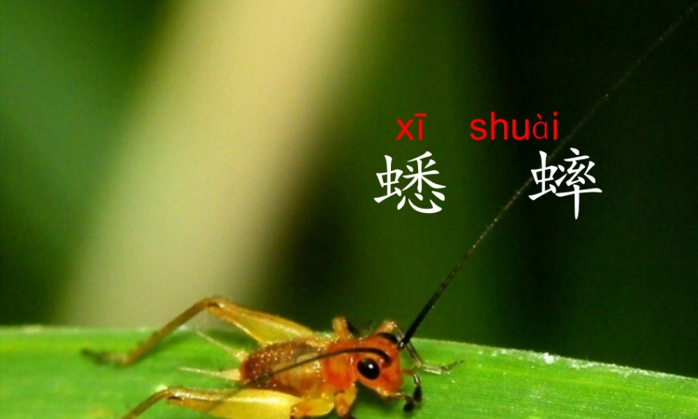 三年级语文上册 第三单元 10 在牛肚子里旅行课件3 新人教版-新人教版小学三年级上册语文课件