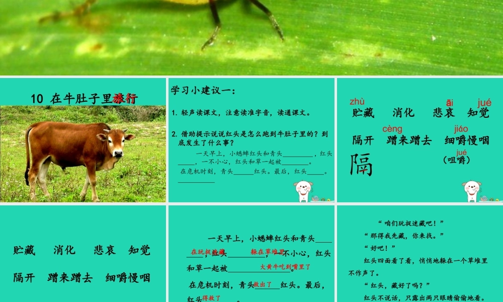 三年级语文上册 第三单元 10 在牛肚子里旅行课件3 新人教版-新人教版小学三年级上册语文课件