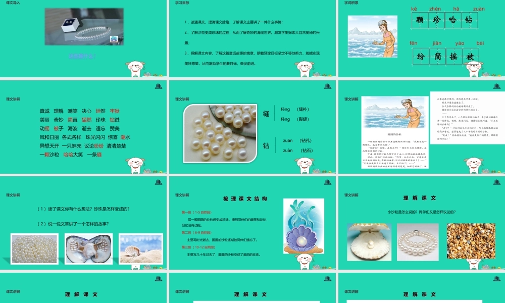 三年级语文上册 8《海底世界》圆圆的沙粒教学课件 北师大版-北师大版小学三年级上册语文课件