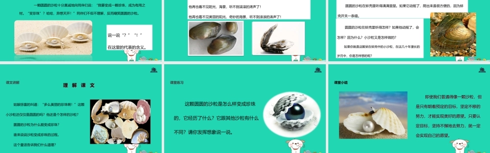 三年级语文上册 8《海底世界》圆圆的沙粒教学课件 北师大版-北师大版小学三年级上册语文课件