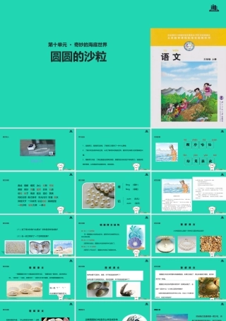三年级语文上册 8《海底世界》圆圆的沙粒教学课件 北师大版-北师大版小学三年级上册语文课件