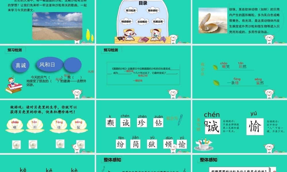 三年级语文上册 8《海底世界》圆圆的沙粒课件 北师大版-北师大版小学三年级上册语文课件
