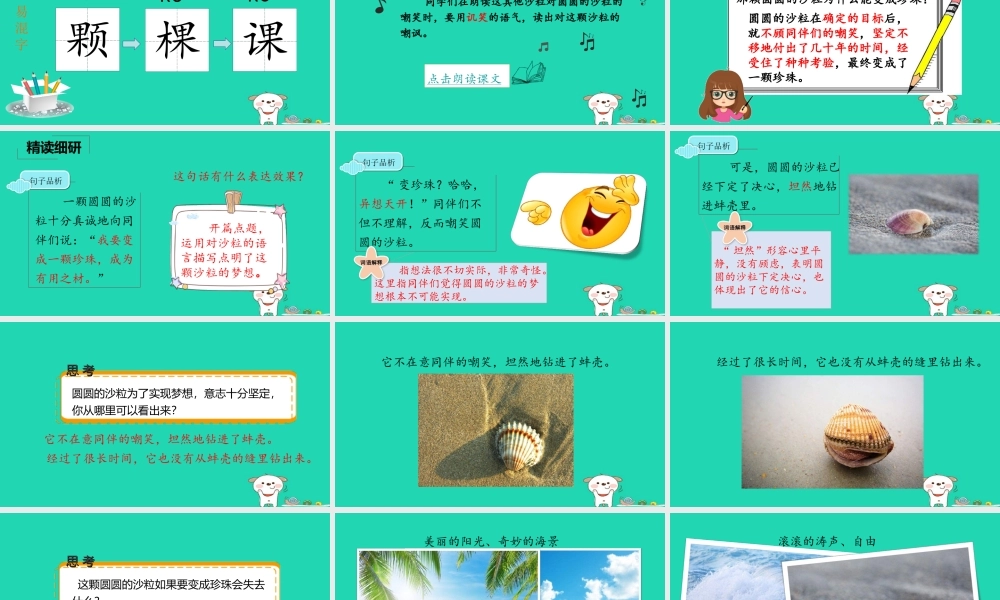 三年级语文上册 8《海底世界》圆圆的沙粒课件 北师大版-北师大版小学三年级上册语文课件
