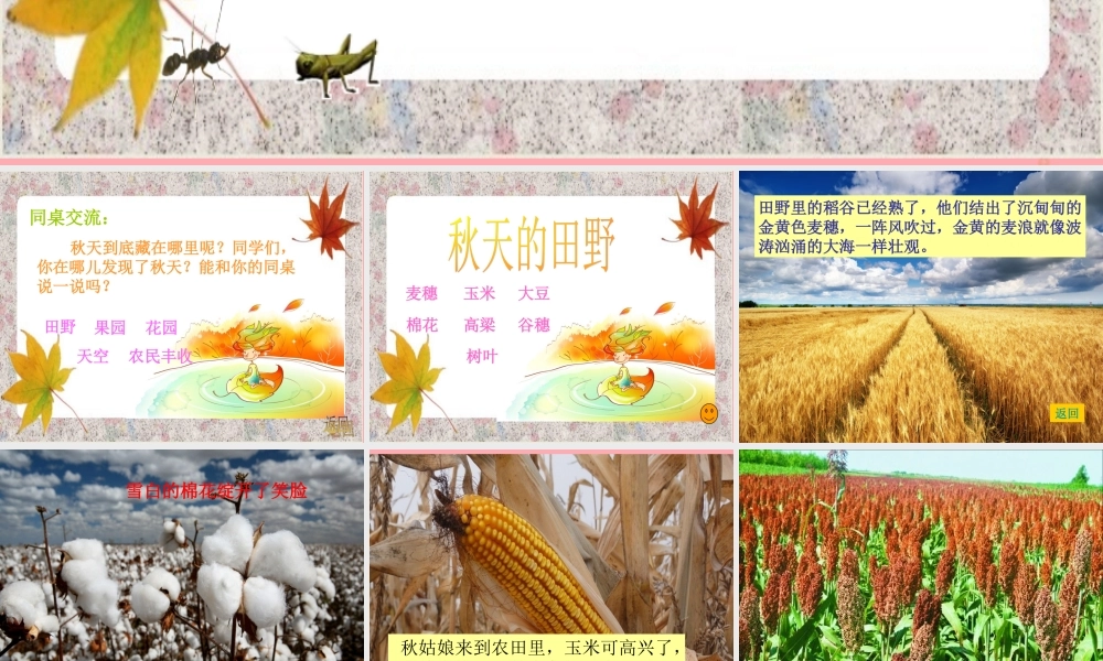 三年级语文上册 我们眼里的秋天课件1 长春版-长春版小学三年级上册语文课件