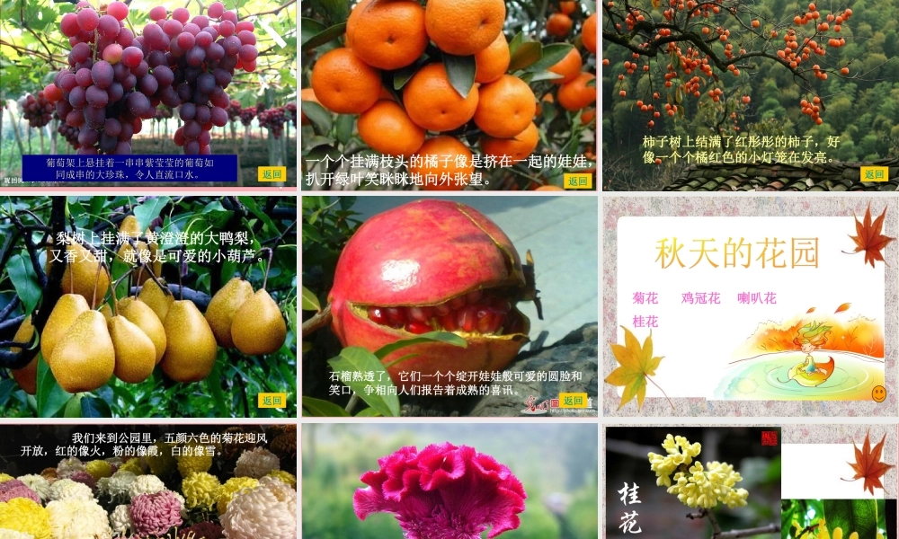 三年级语文上册 我们眼里的秋天课件1 长春版-长春版小学三年级上册语文课件