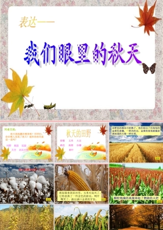 三年级语文上册 我们眼里的秋天课件1 长春版-长春版小学三年级上册语文课件