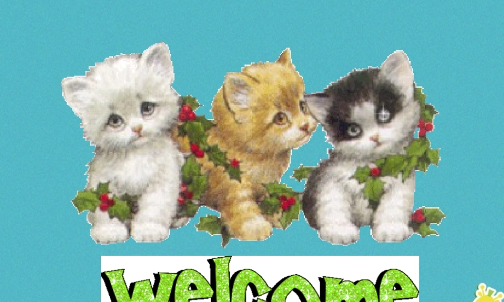 三年级英语下册 Unit 6 Where Is My Eraser课件1 陕旅版-陕旅版小学三年级下册英语课件