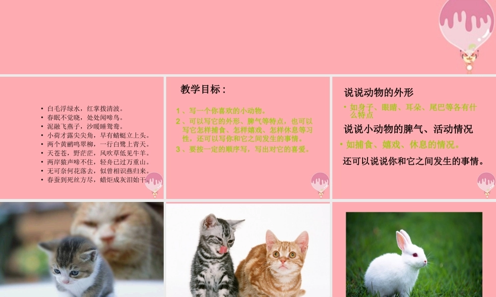 三年级语文上册 写一种小动物课件1 长春版-长春版小学三年级上册语文课件