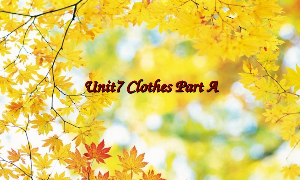 三年级英语下册 Unit 7 Clothes（2）Part A课件2 闽教版（三起）-闽教版小学三年级下册英语课件