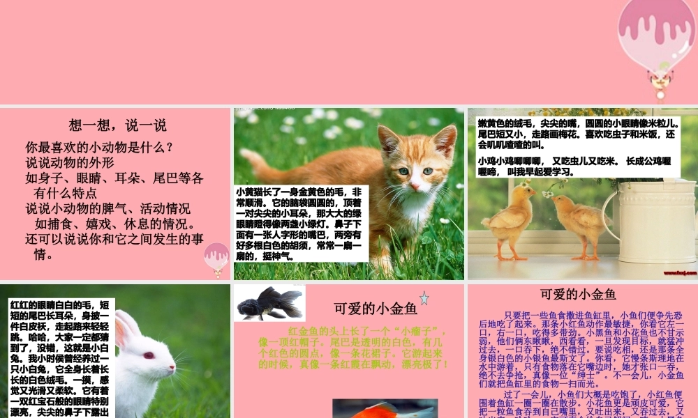 三年级语文上册 写一种小动物课件2 长春版-长春版小学三年级上册语文课件