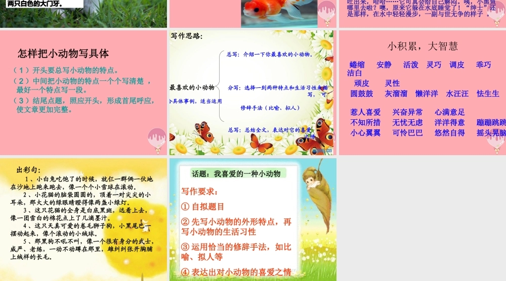三年级语文上册 写一种小动物课件2 长春版-长春版小学三年级上册语文课件