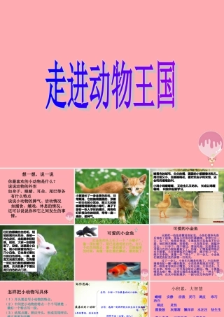 三年级语文上册 写一种小动物课件2 长春版-长春版小学三年级上册语文课件